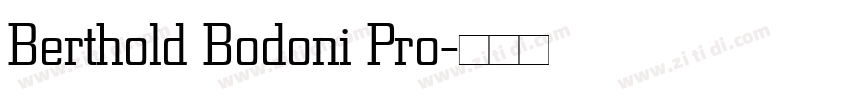 Berthold Bodoni Pro字体转换